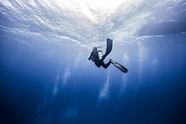 Quelle assurance de prêt choisir si vous pratiquez la plongée sous-marine ?